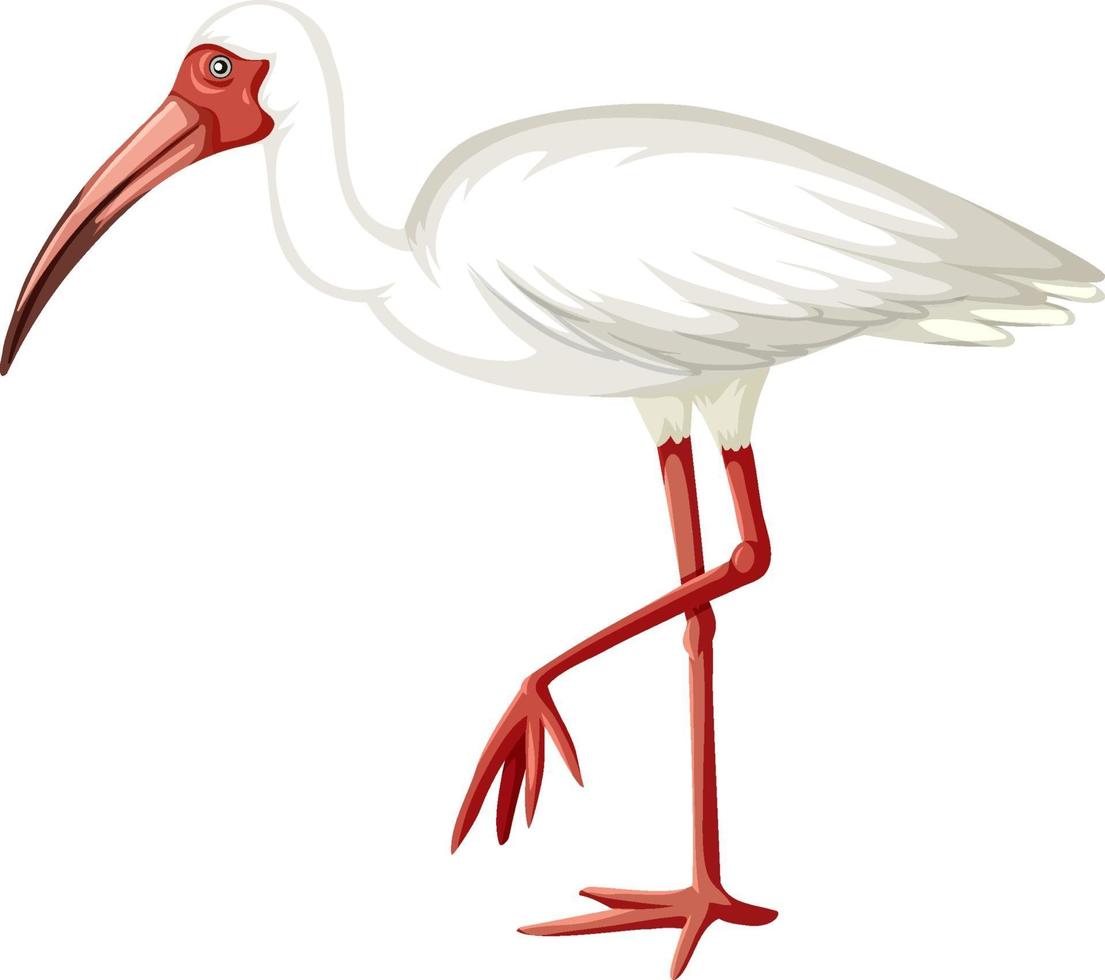 ibis blanco en estilo de dibujos animados sobre fondo blanco vector