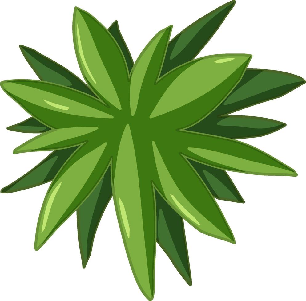Green leaves cartoon style on white background vector