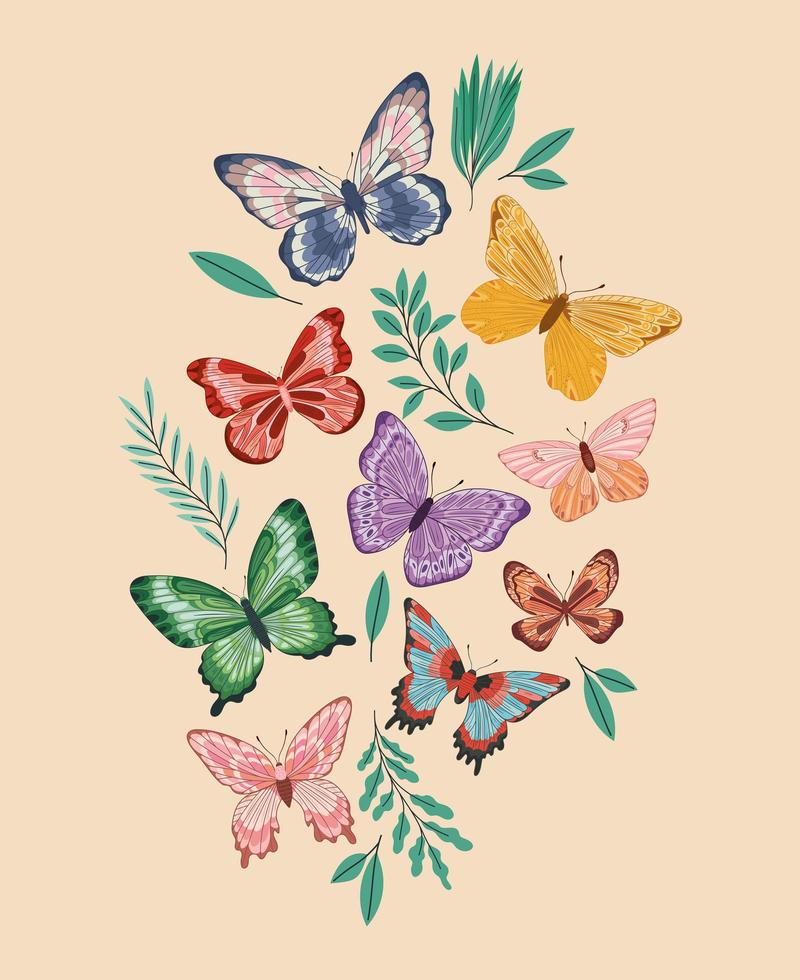 plants and butterflies vector