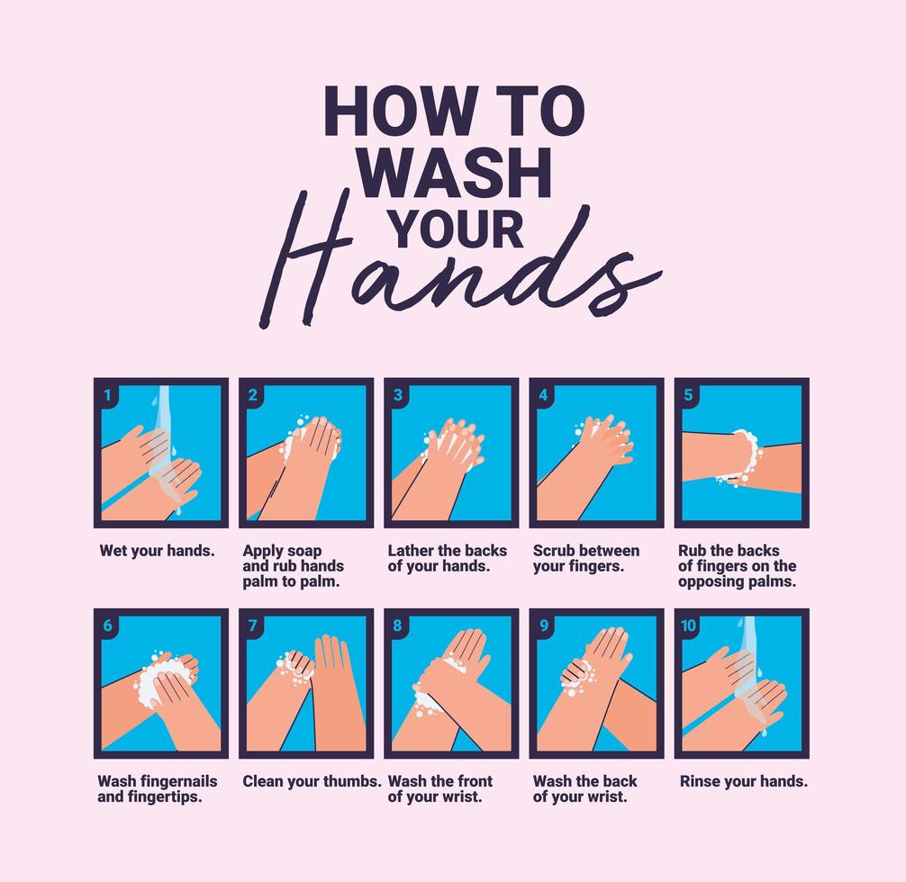 clean hands infographic vector