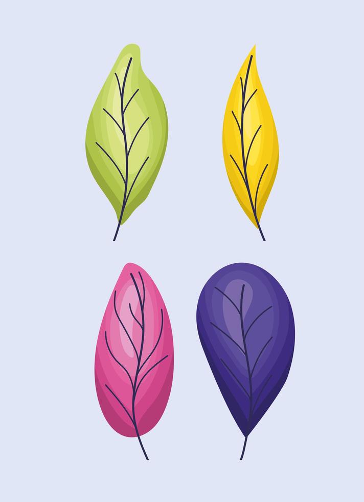 four leaves illustration vector