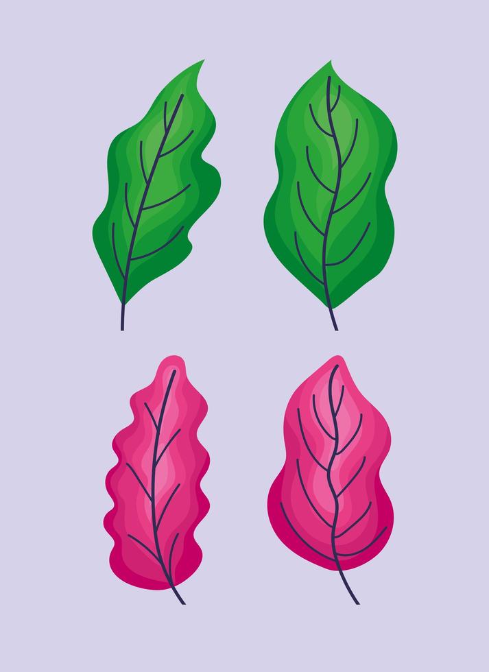 four leaves icons vector