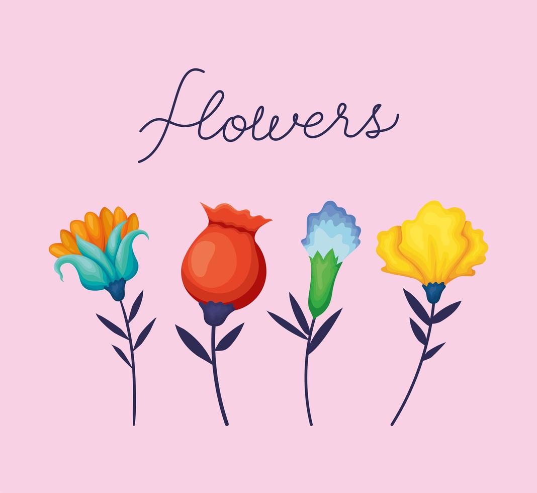 flowers nature collection vector