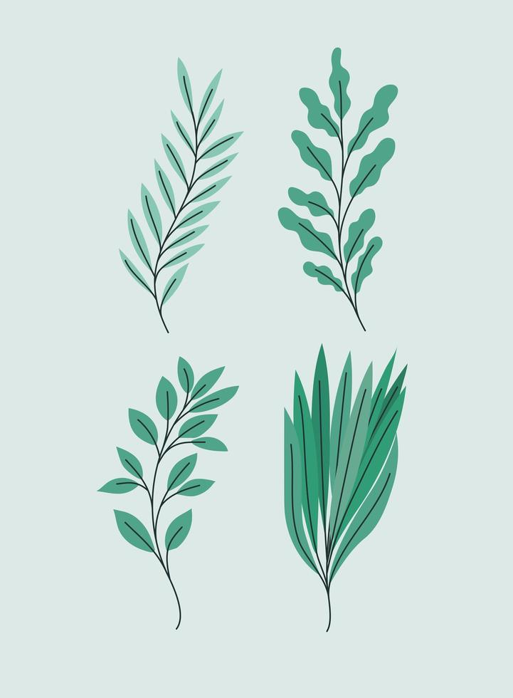 cuatro hermosas plantas vector