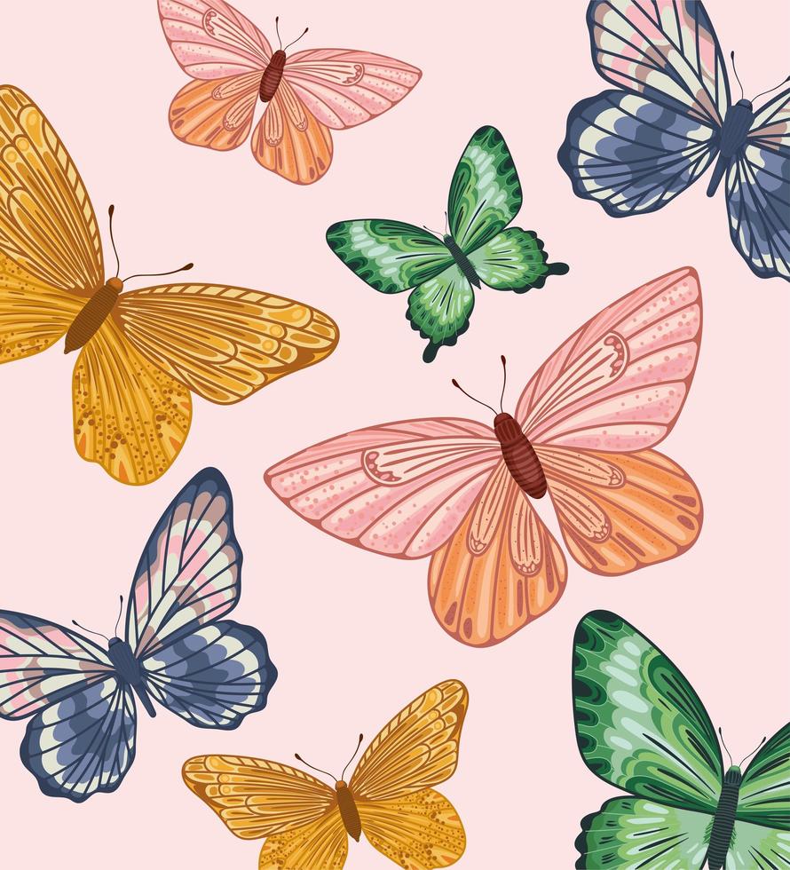 background colored butterflies vector