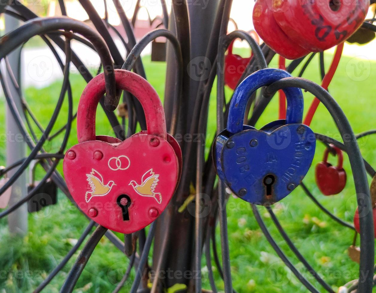 Wedding custom of hanging beautiful locks on a tree. photo