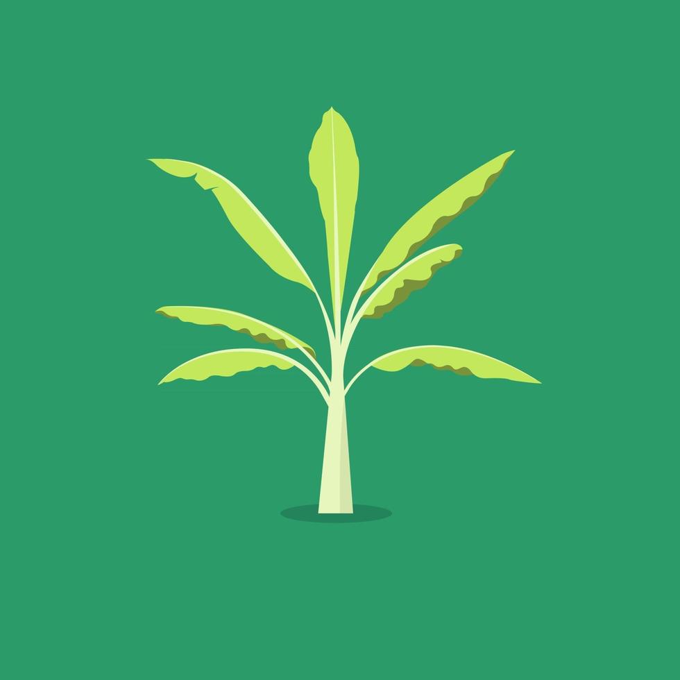 vector de árbol de plátano con fondo verde estilo plano de objeto de árbol