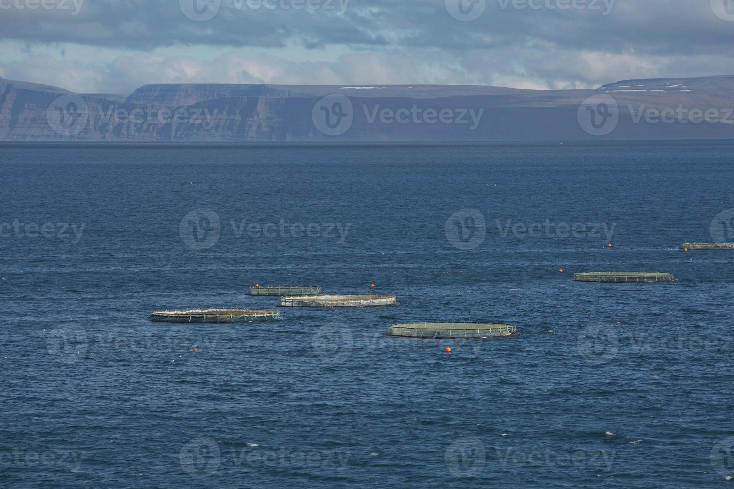 View of the fjord surrounding the village of Isafjordur in Iceland photo