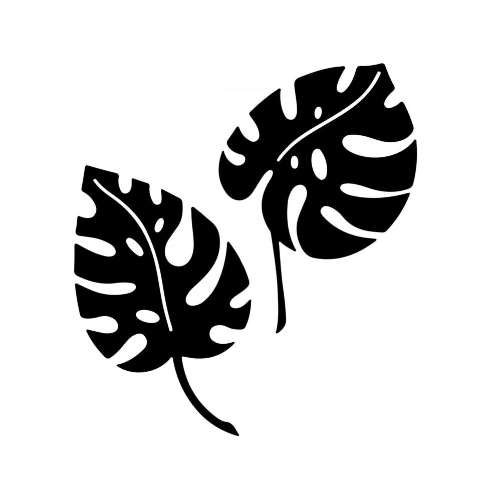 Conjunto de ramas dibujadas a mano de plantas tropicales deja monstera aislado sobre fondo blanco. Ilustración de vector de silueta. diseño de patrón, logotipo, plantilla, pancarta, carteles, invitación, tarjeta de felicitación