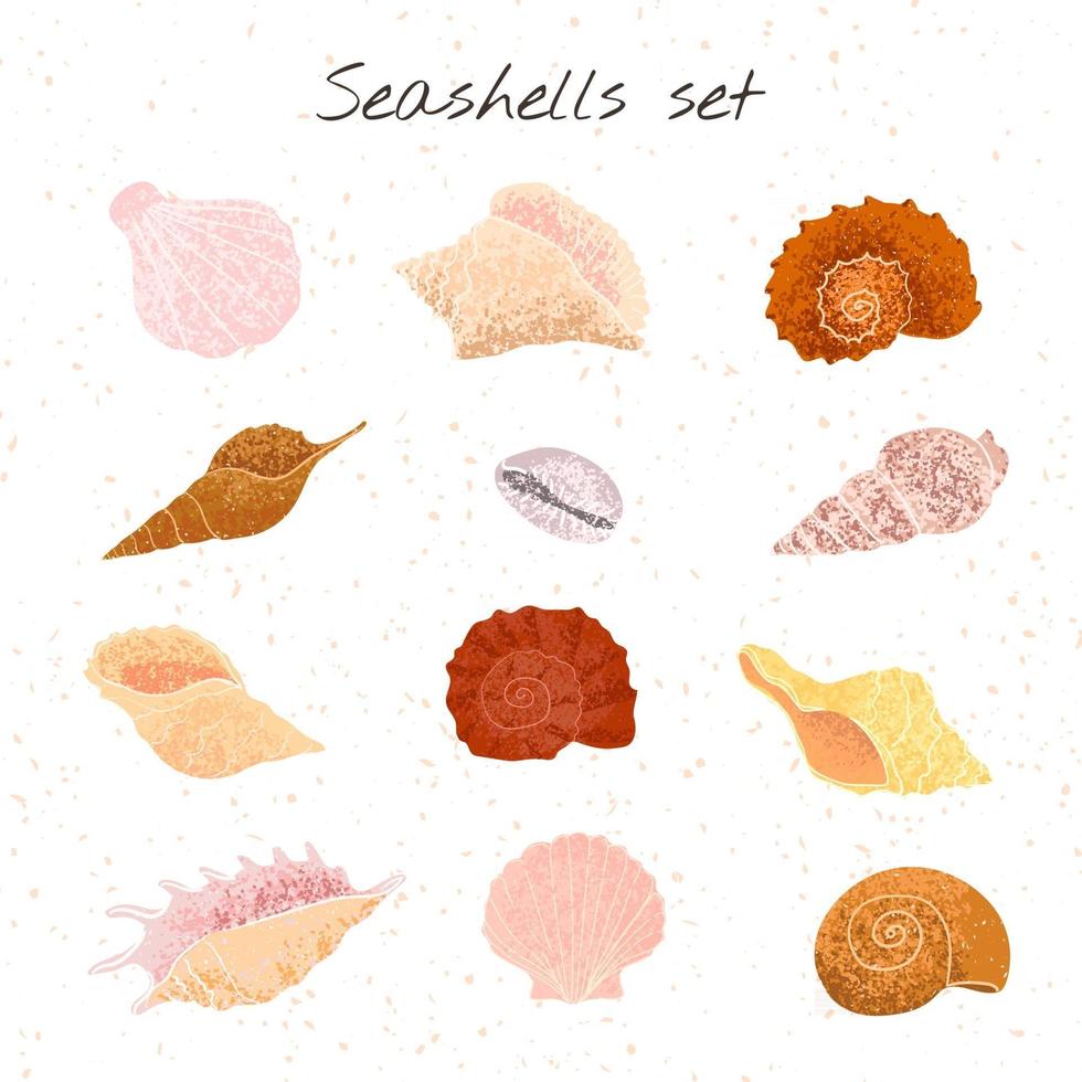 Vector colorful set with hand drawn illustrations of seashells isolated on white background. Elemets for your designs for greeting card, poster, packaging paper, t-shirts print, card