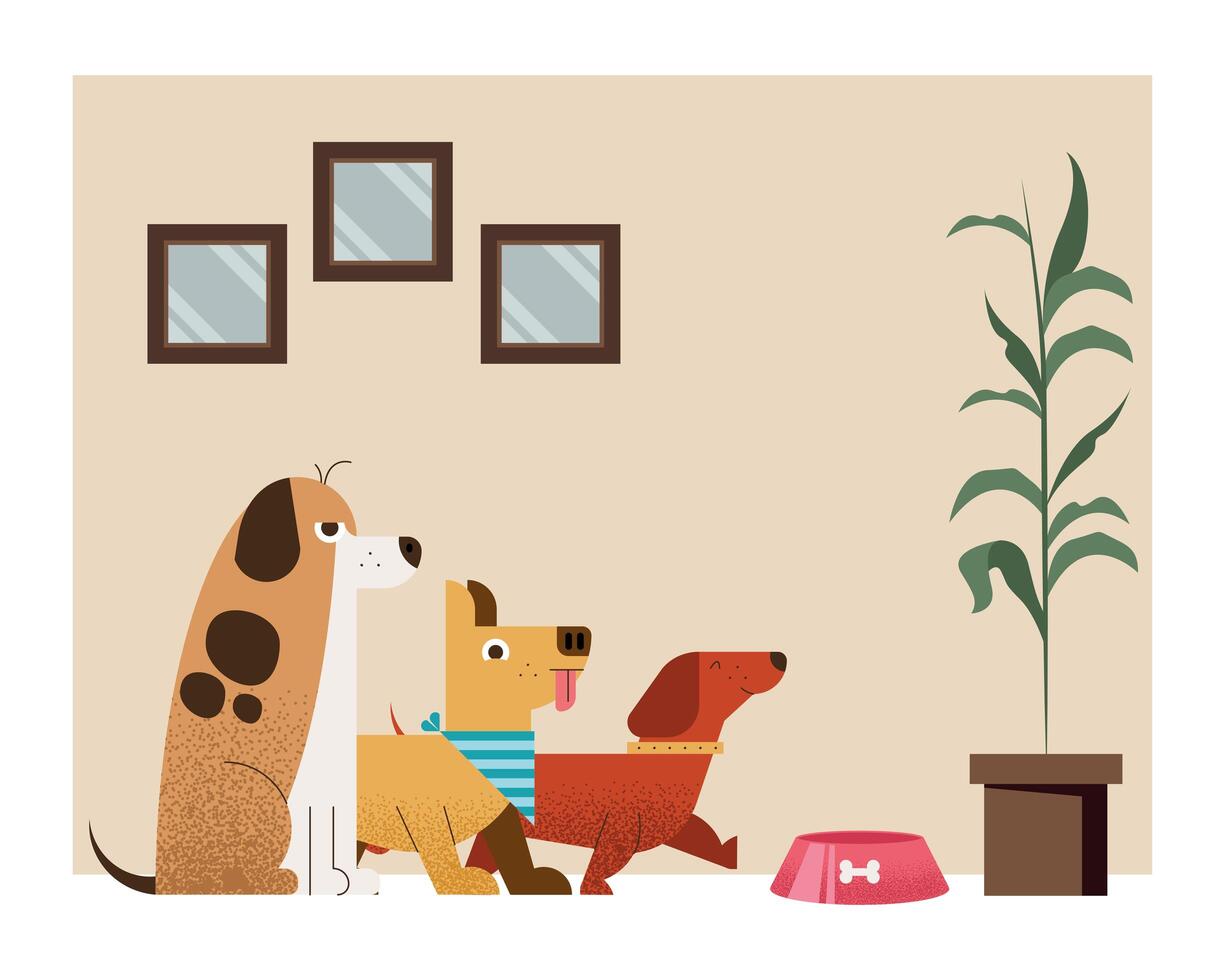 three dogs in house vector