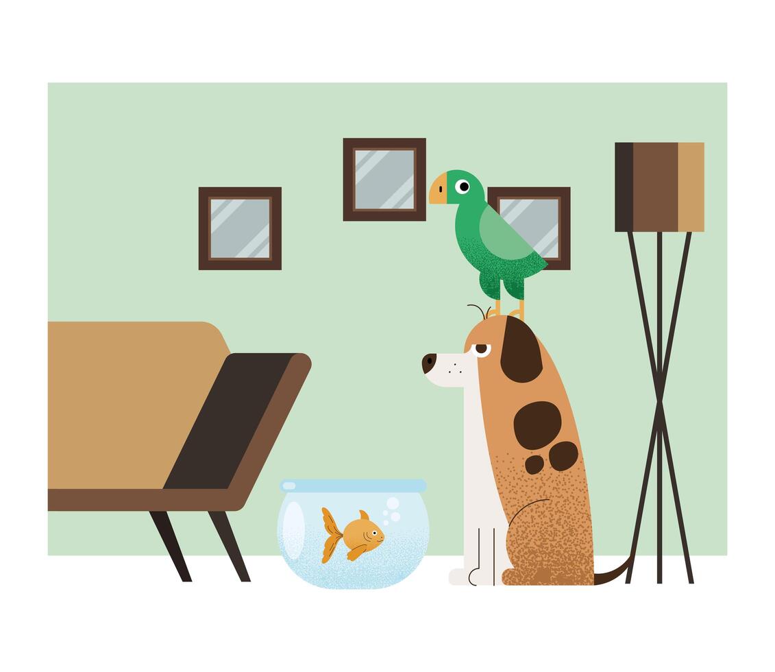 three pets in house vector