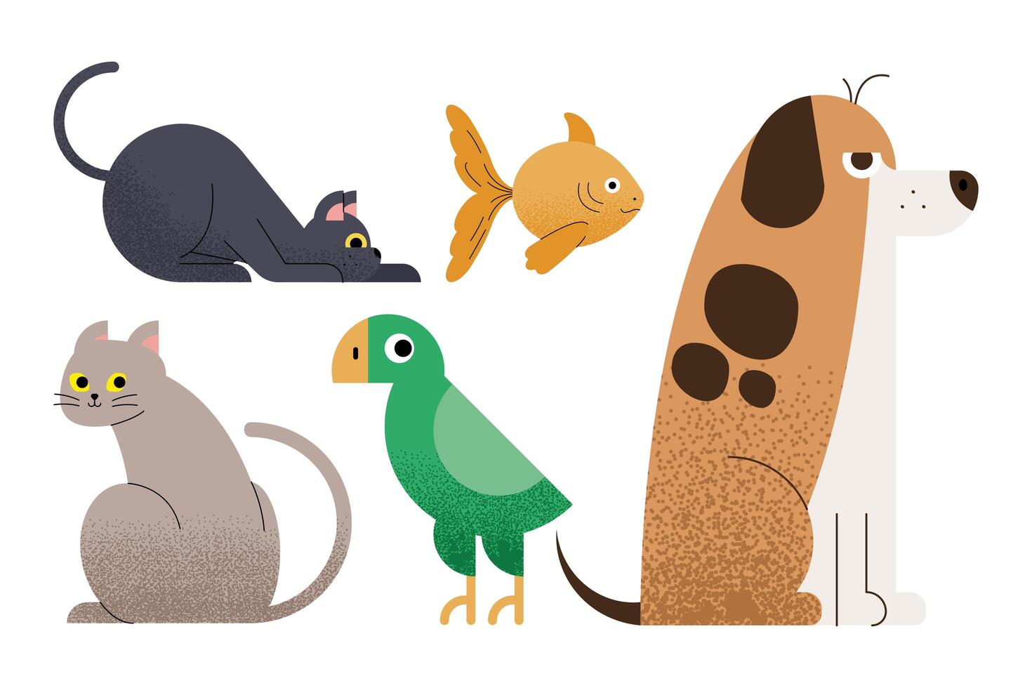 group of pets vector