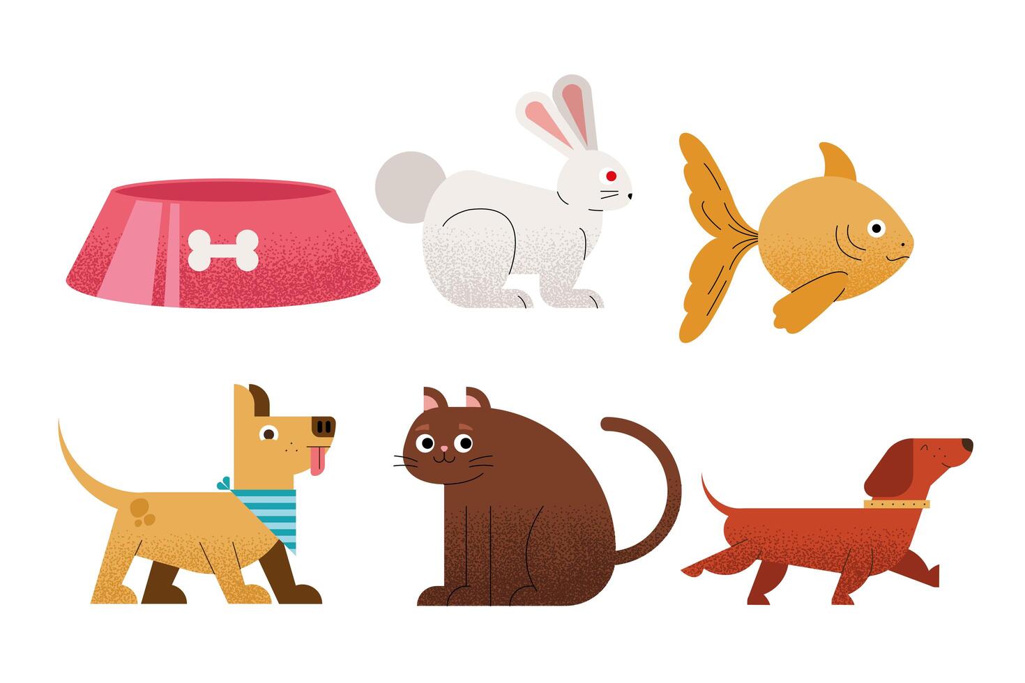 five pets icons vector