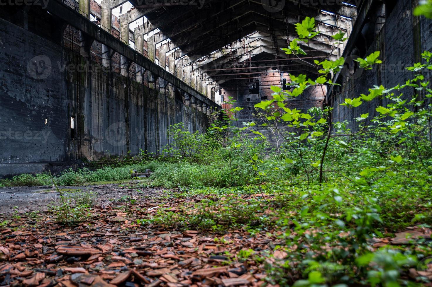 fábrica abandonada su interior y lo que queda de ella foto