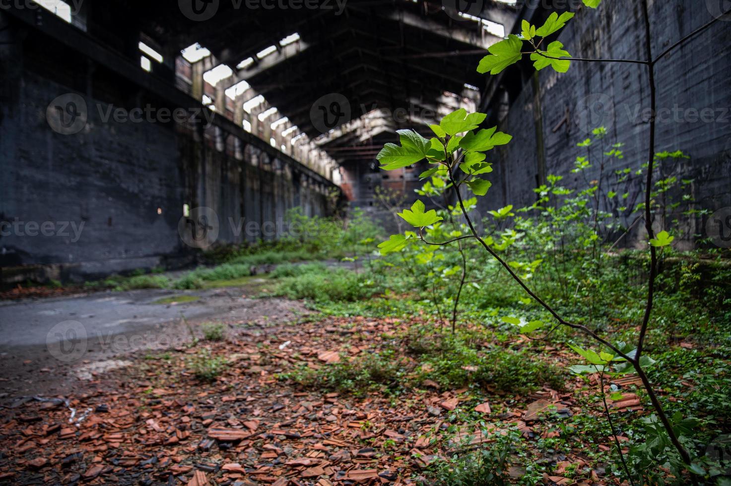 abandoned factory its interior and what remains of it photo