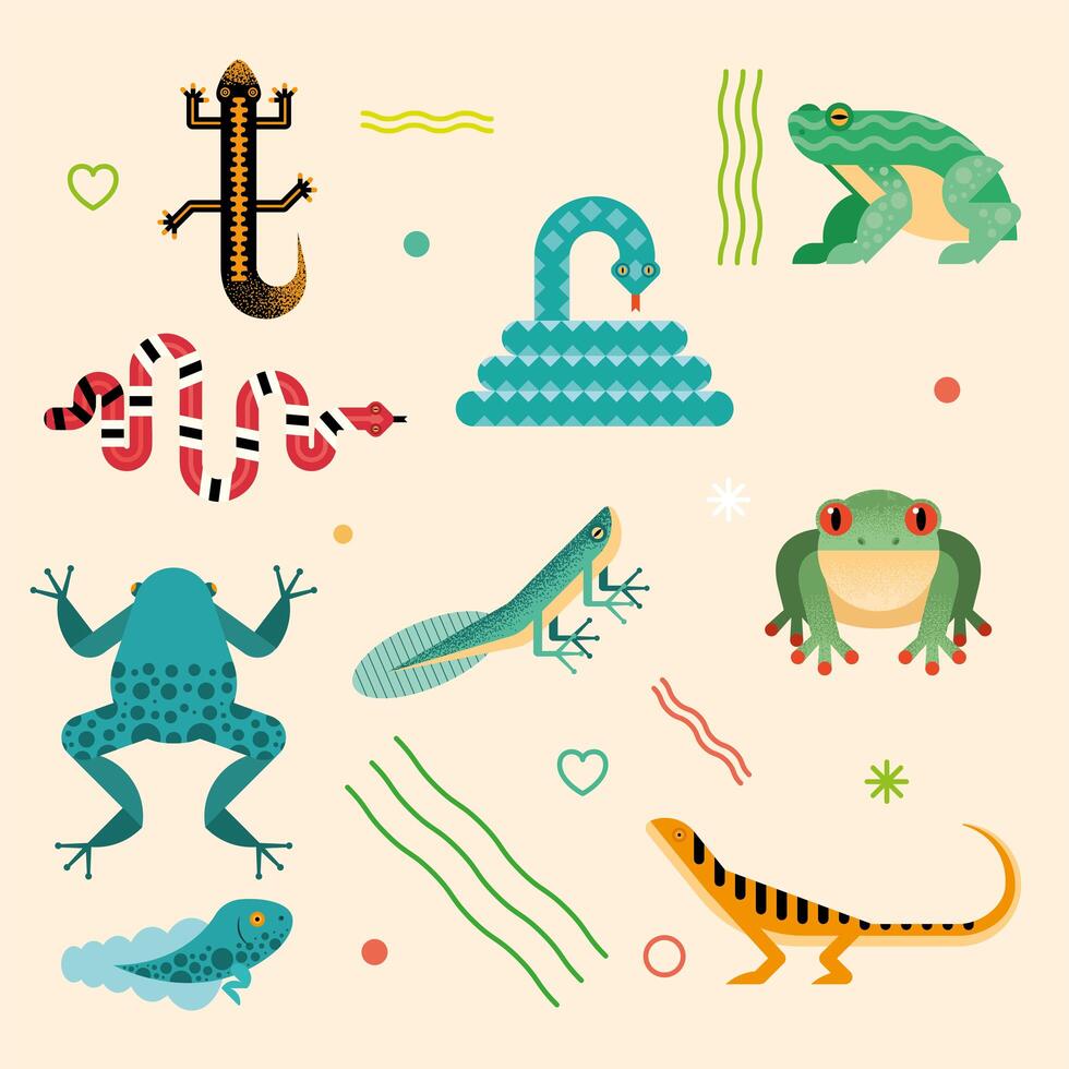 nine cute amphibians vector