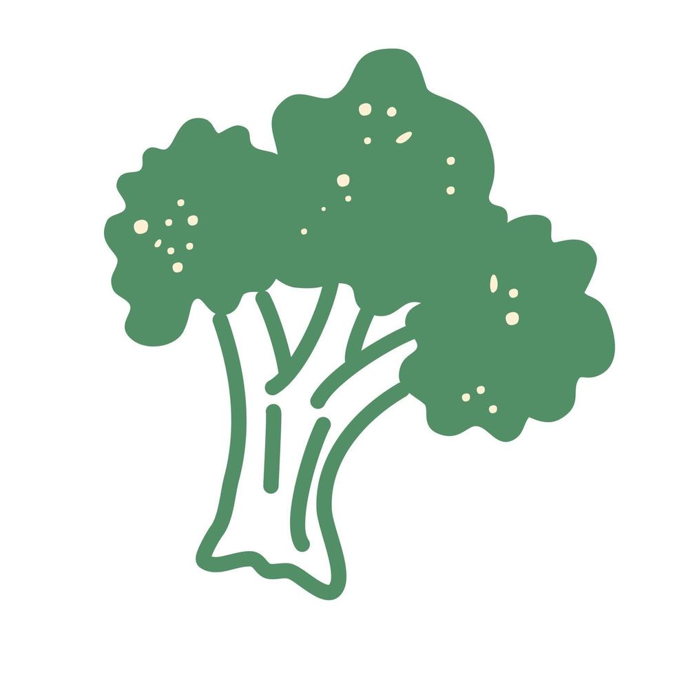 icono de brócoli dibujos animados naturaleza vegetal fresca para el negocio de alimentos snack elemento de marca logo ilustración vectorial de una verdura fresca en un estilo plano vector