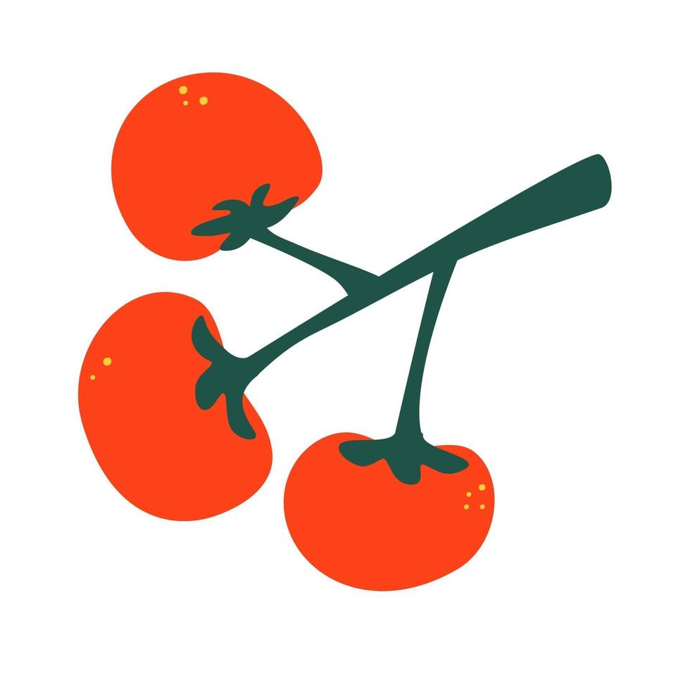 Ripe tomatoes on a branch Set of red tomatoes Set with hand drawn colorful doodle vegetables Vector illustrations
