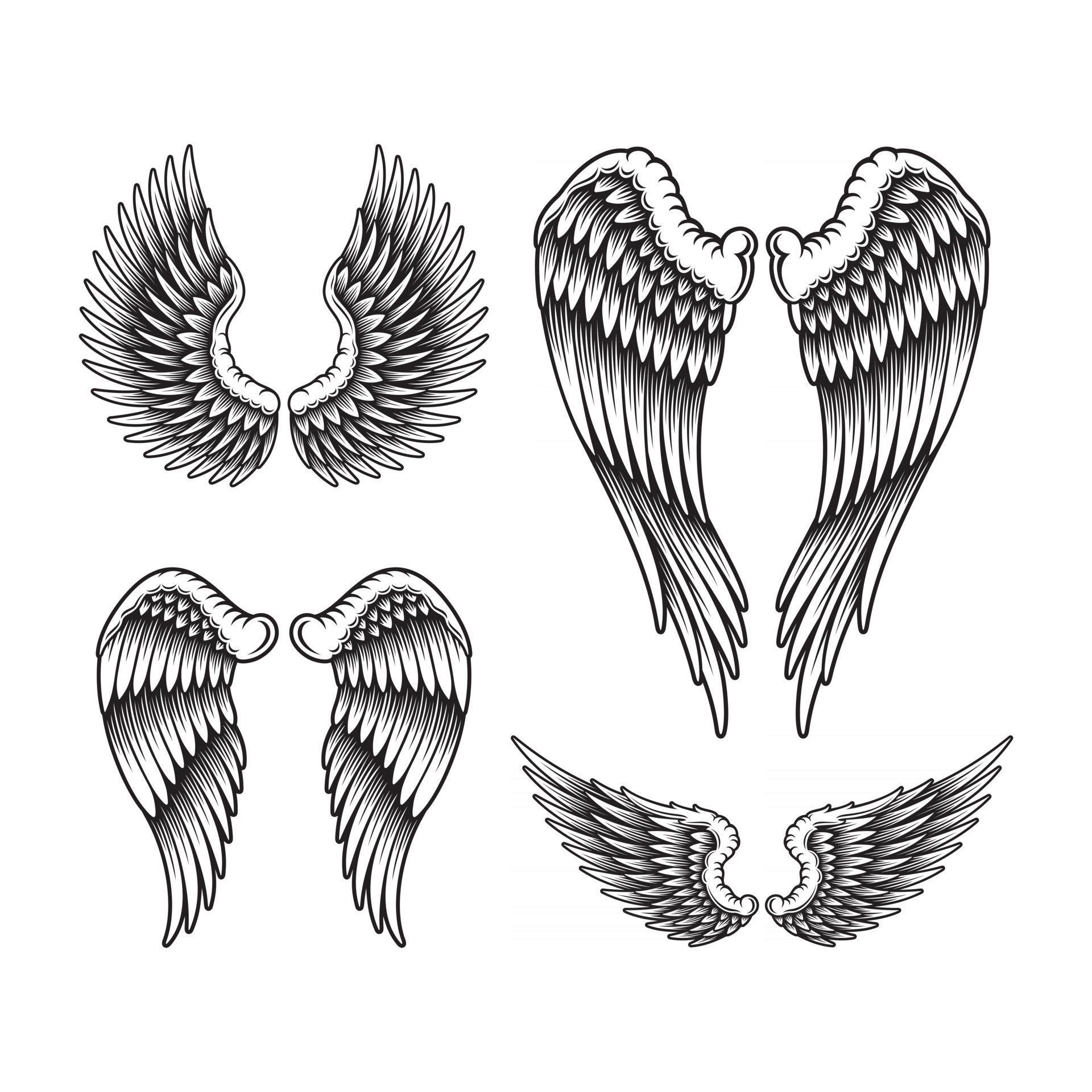Difundir la colección de alas en blanco y negro. 2716233 Vector en Vecteezy Difundir la colección de alas en blanco y negro. 2716233 Vector en Vecteezy