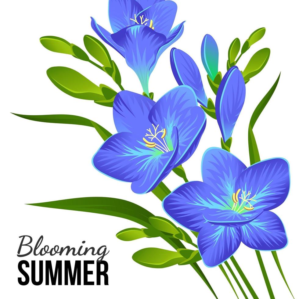 BLUE FLOWERS ON A WHITE BACKGROUND vector
