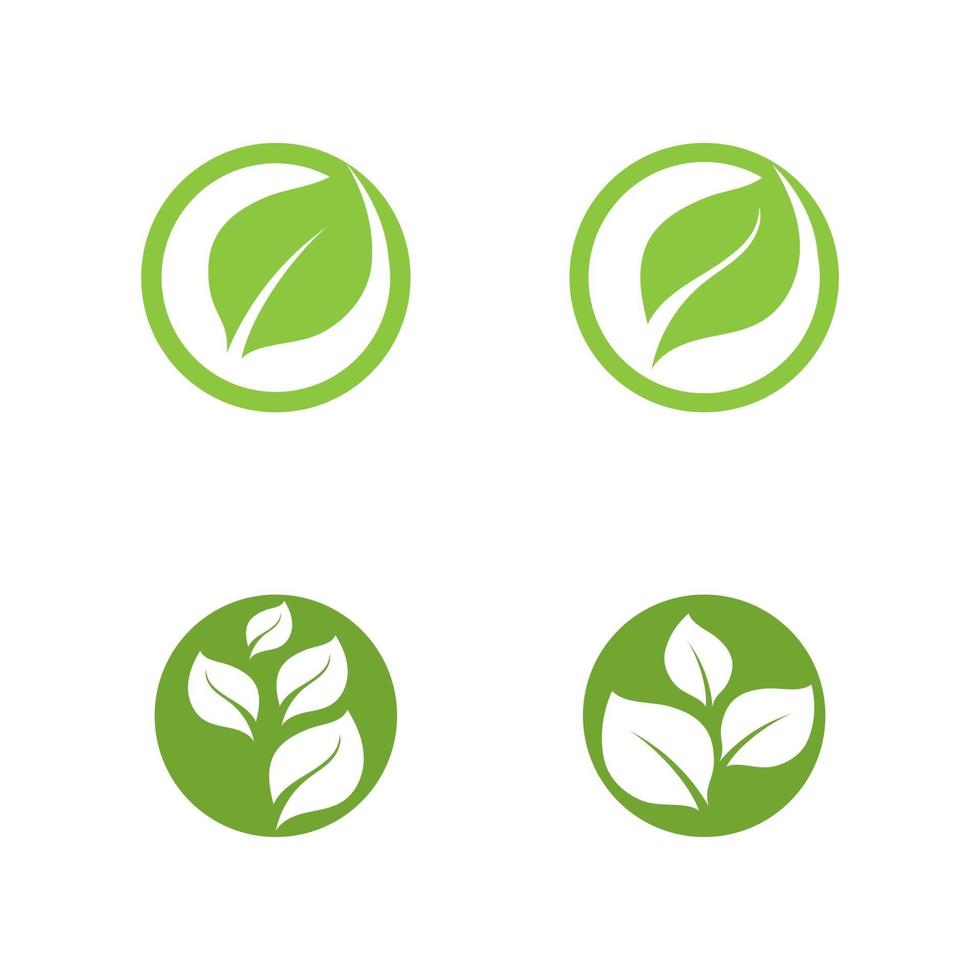 Logos of green Tree leaf ecology vector