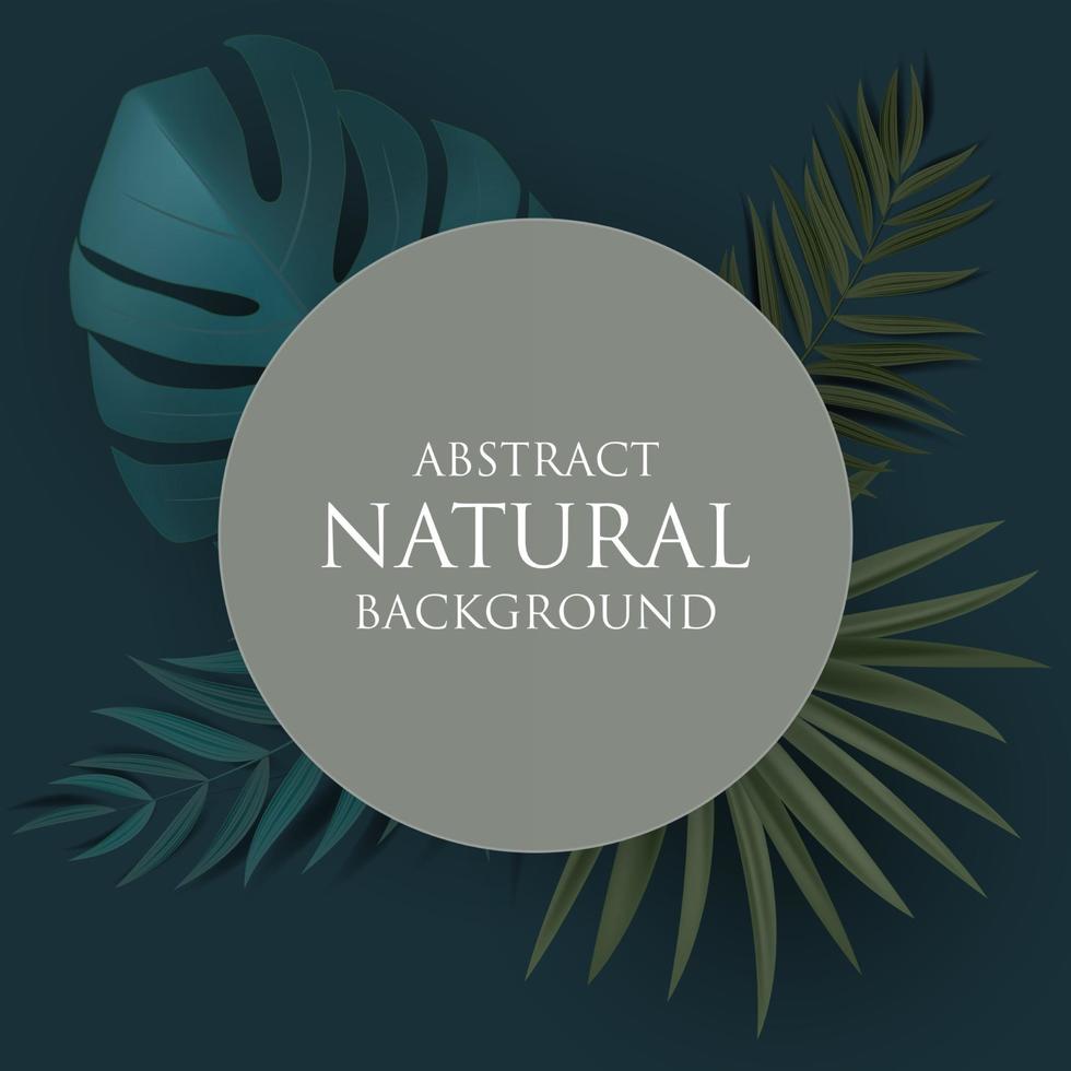 Abstract Natural Background with Tropical Palm and Monstera Leaves vector