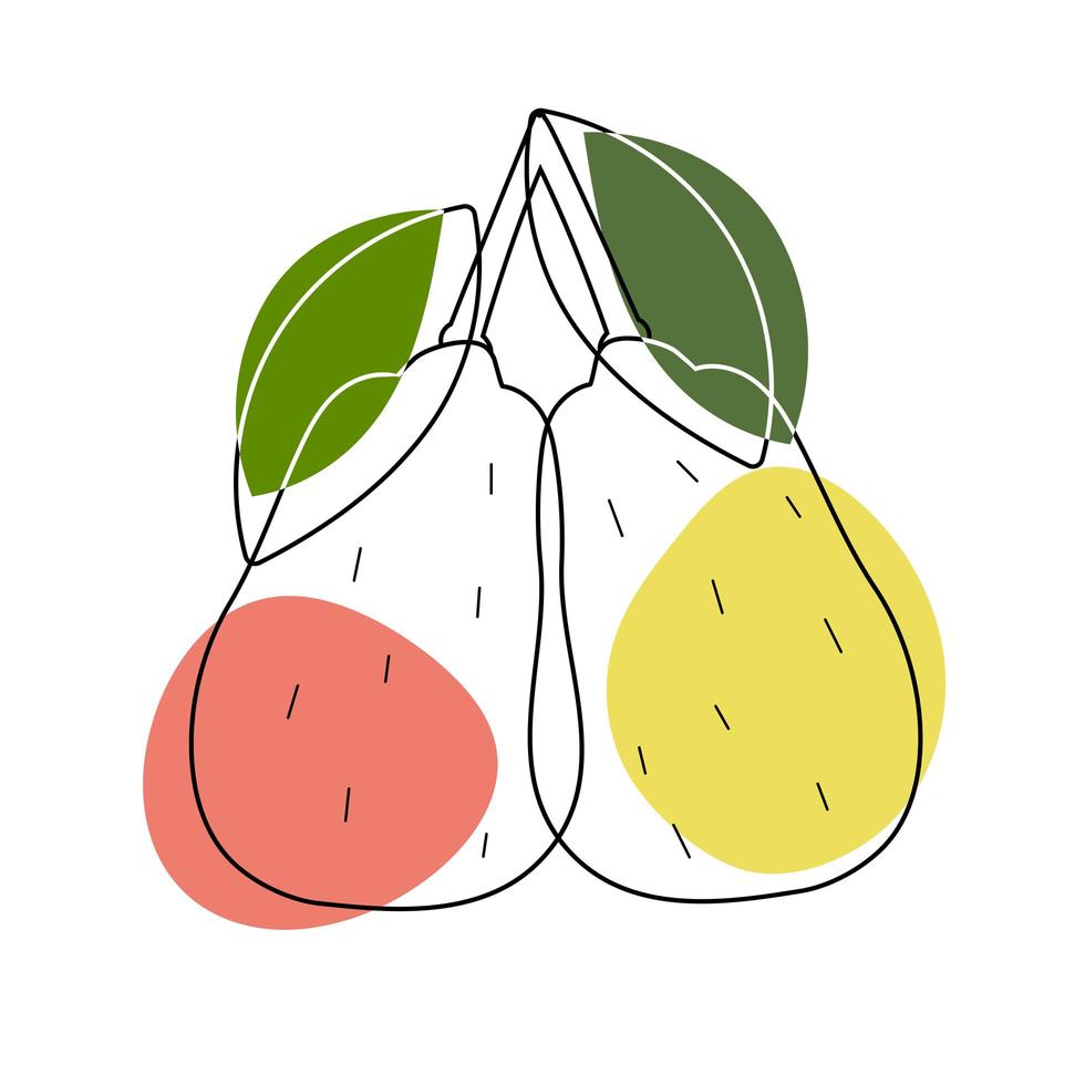 Stylized illustration of pear style flat design vector