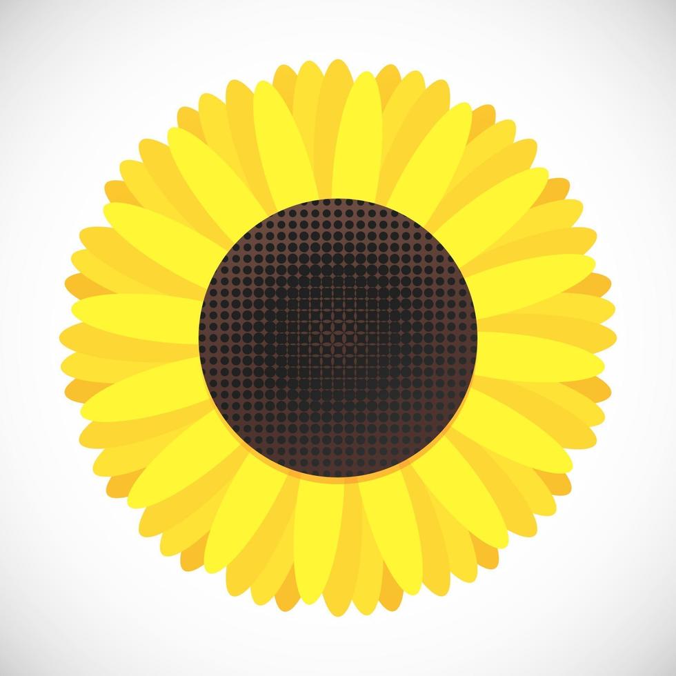 Sunflower flat style design gradient version icon sign vector illustration isolated on white background Symbol of fall harvest