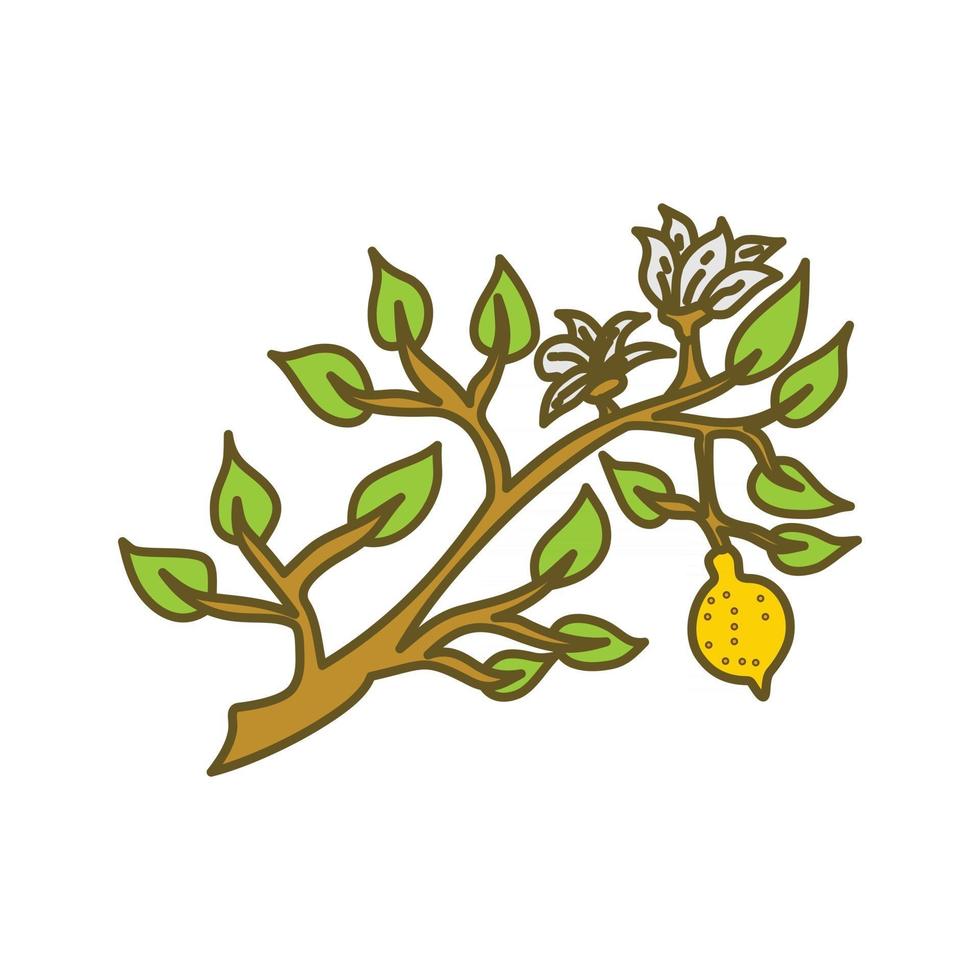 vector de plantilla de diseño de fruta de limón plano