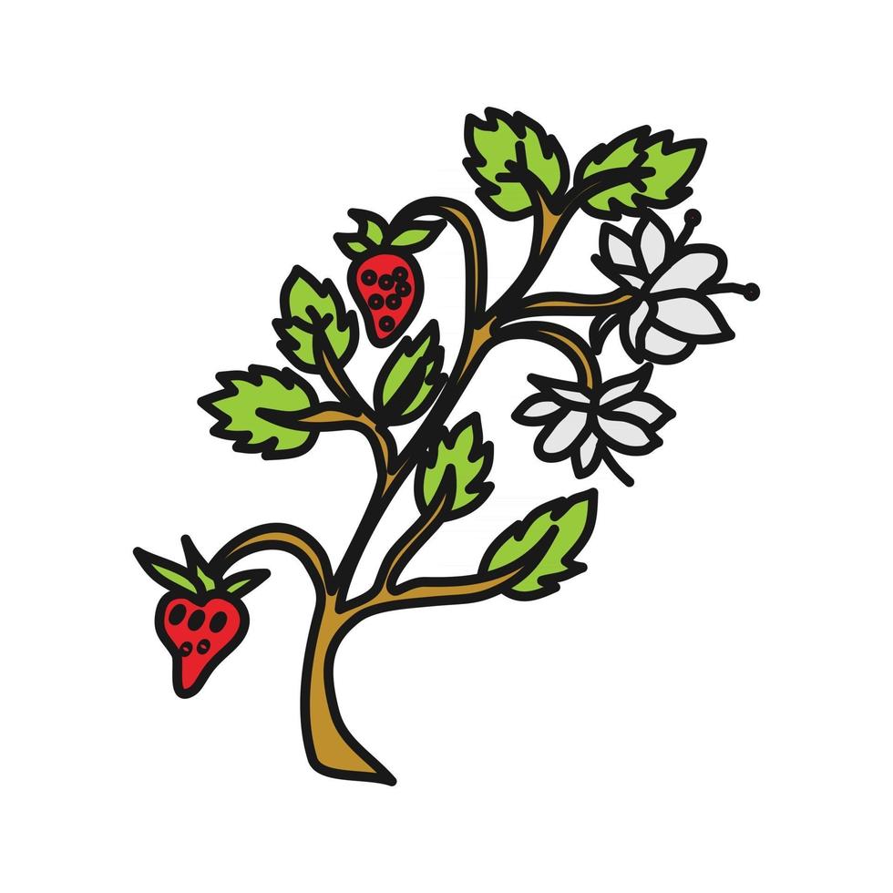 vector de plantilla de diseño de fruta de fresa