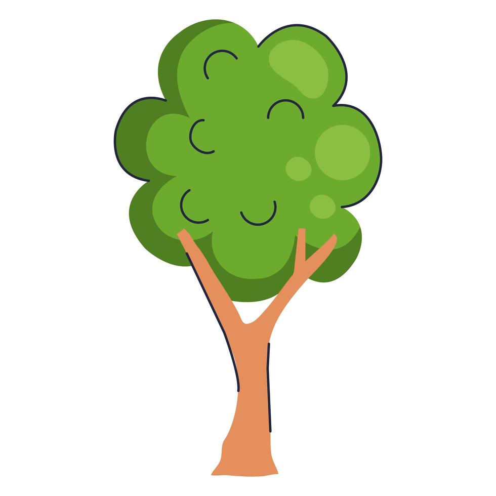 tree plant forest nature isolated icon vector