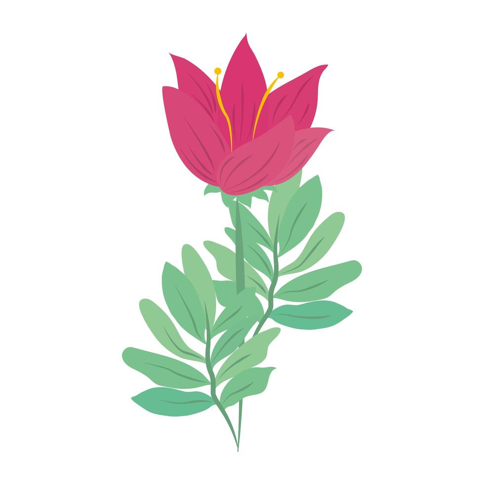 flower stem leaves nature isolated icon vector