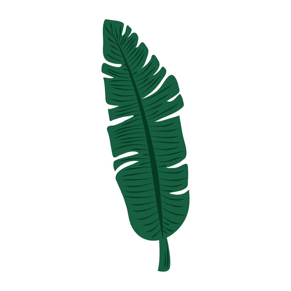 tropical leaf foliage plant abstract style icon vector