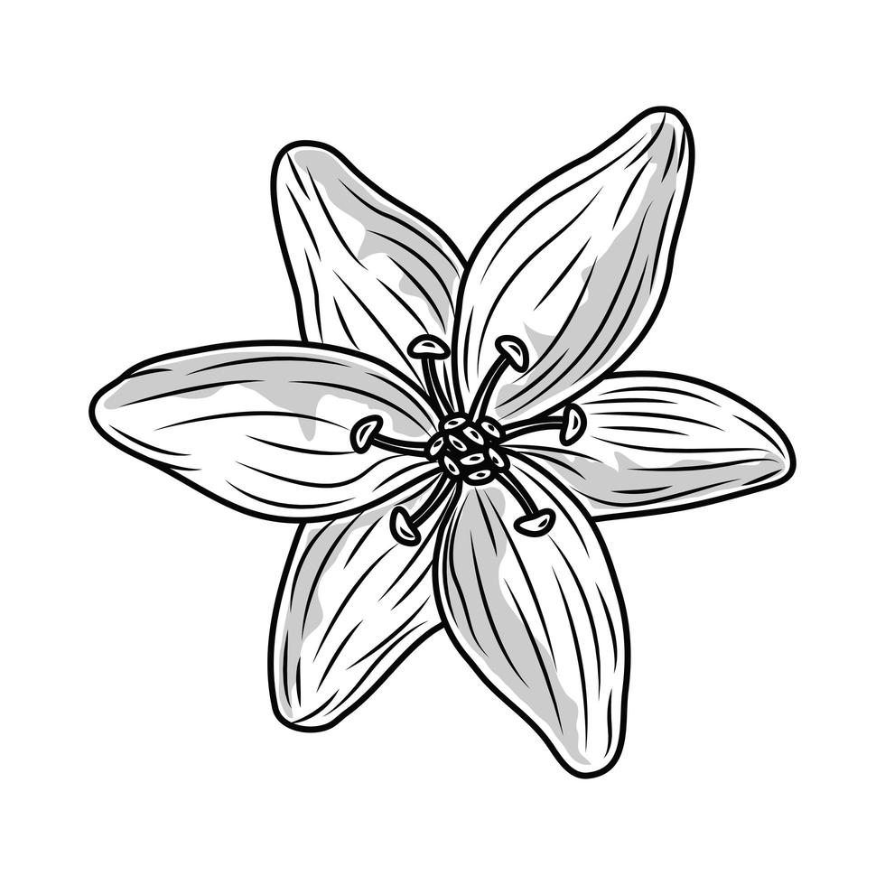 flower sketch layout vector