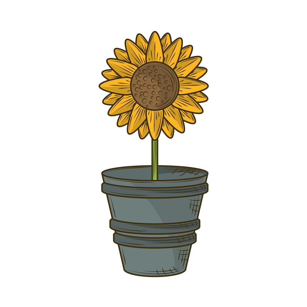 potted sunflower decoration vector