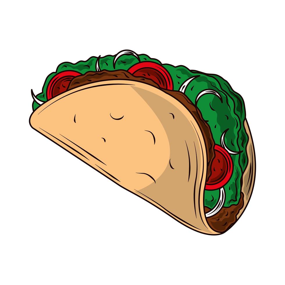 mexican food taco vector