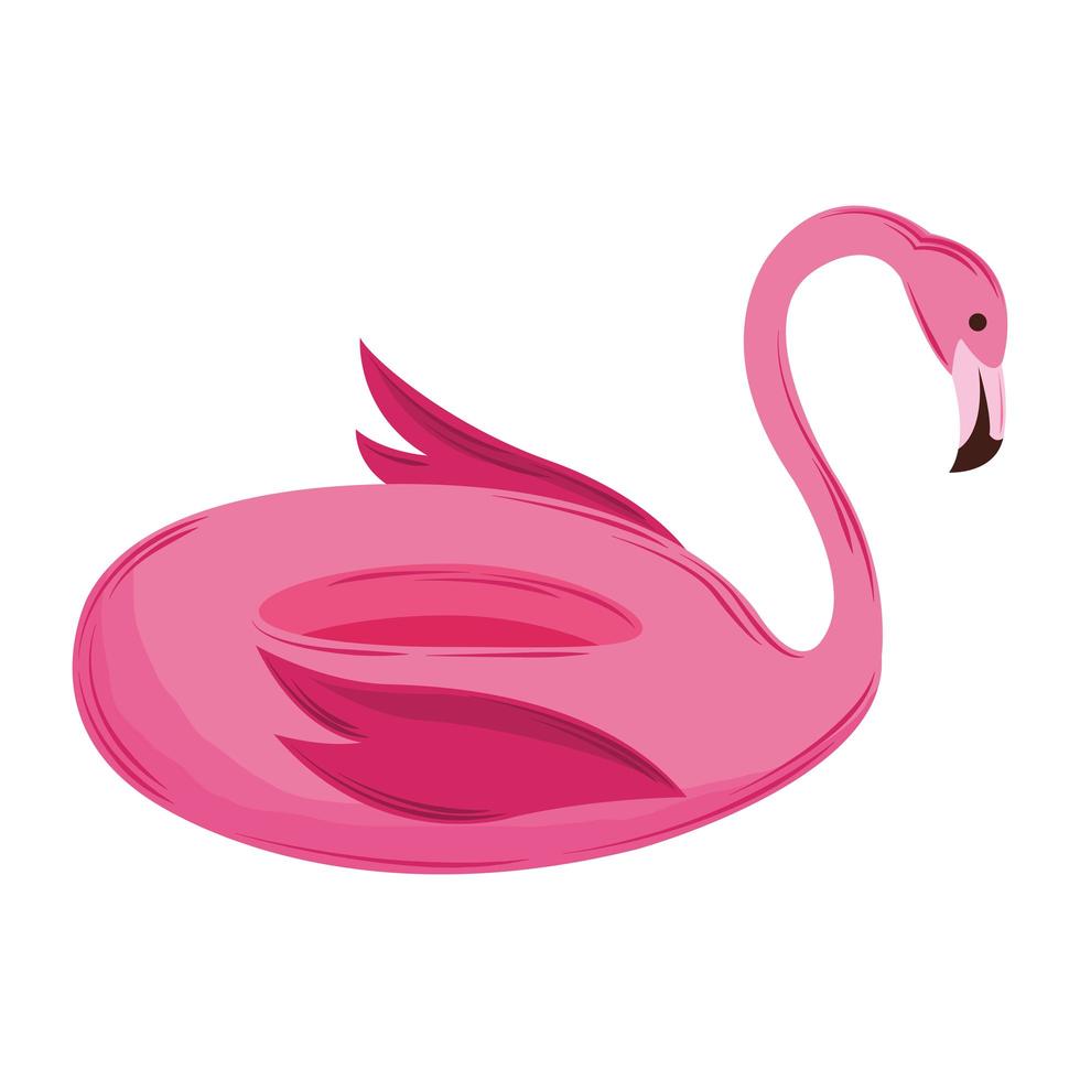 flamingo float isolated vector