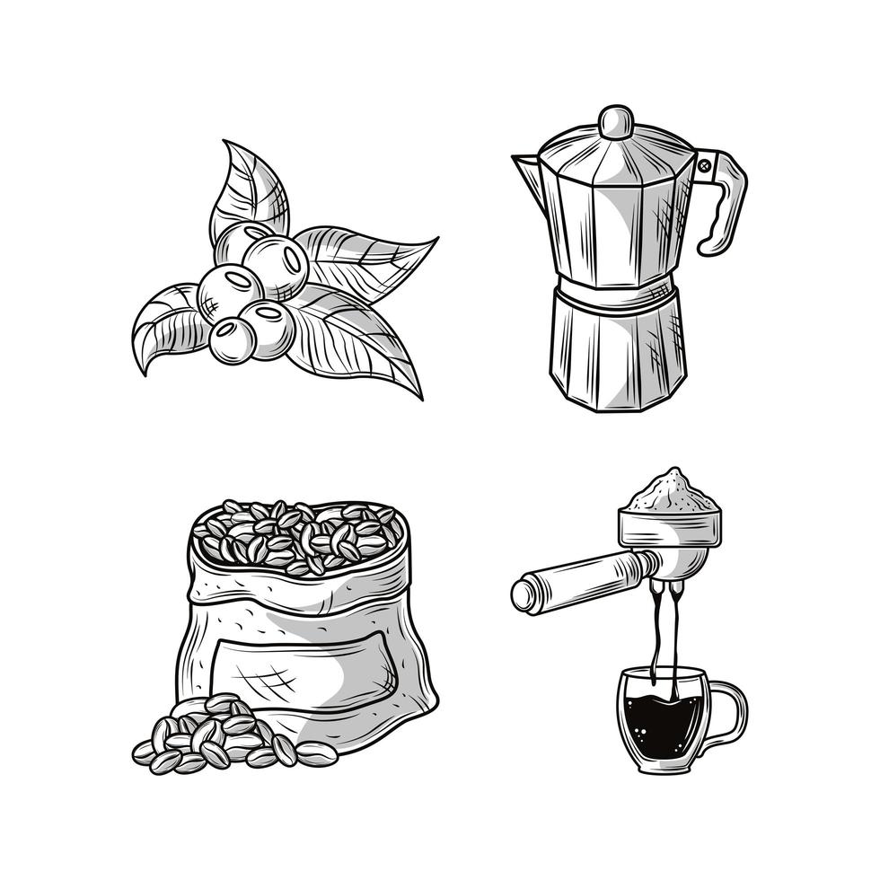 bosquejo de los iconos de café vector