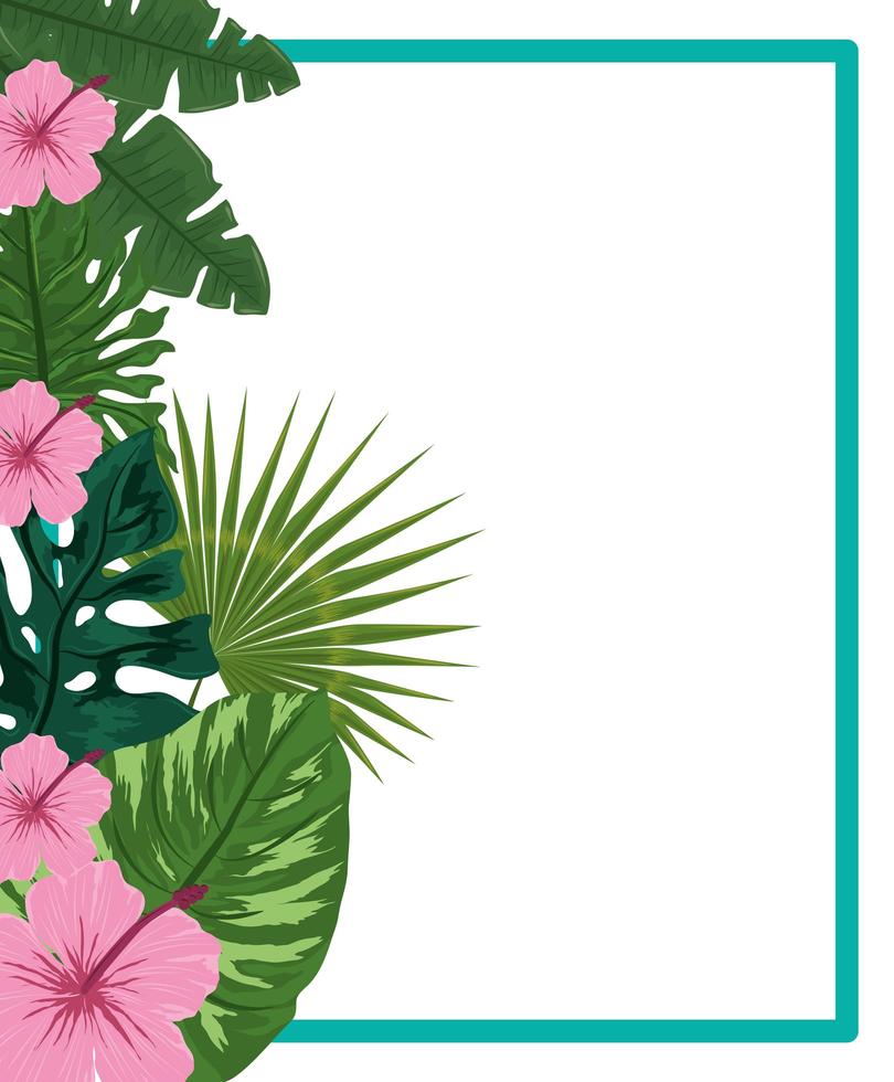 exotic tropical leaves vector