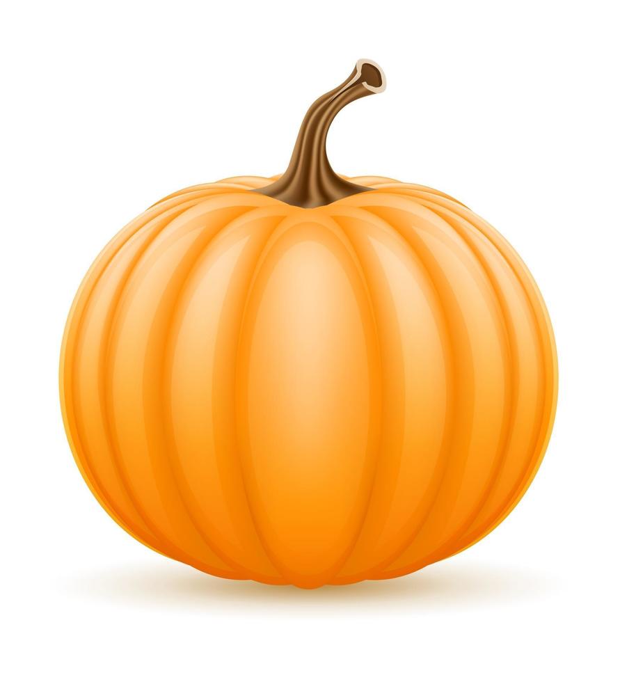 pumpkin halloween stock vector illustration isolated on white background