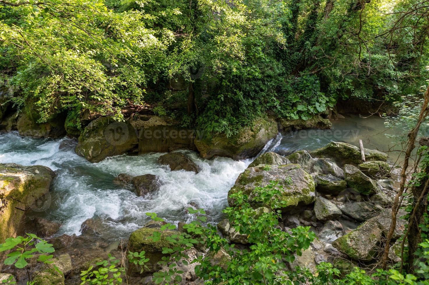 río en el bosque procedente de la cascada del marmore foto