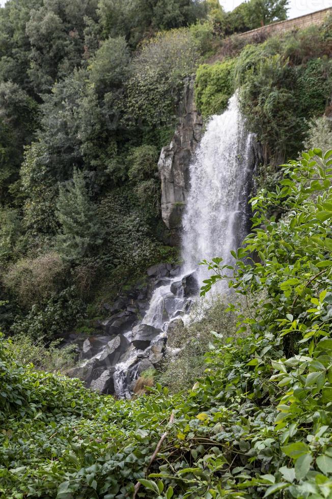 the nepi waterfall surrounded by greenery photo