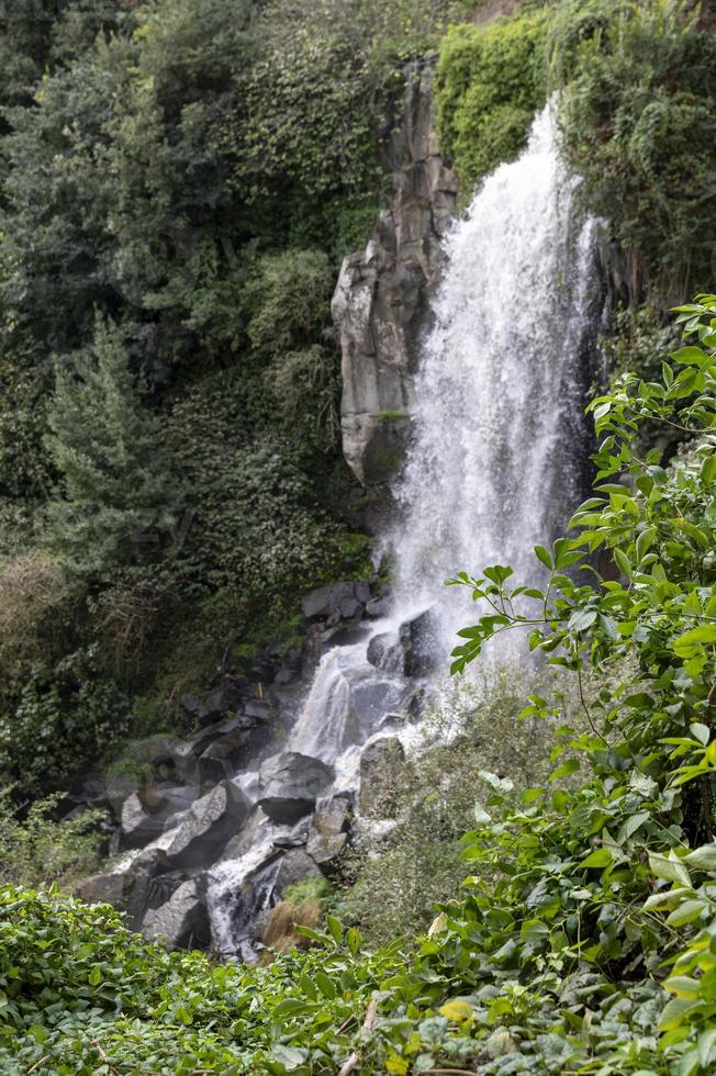 la cascada nepi rodeada de vegetación foto