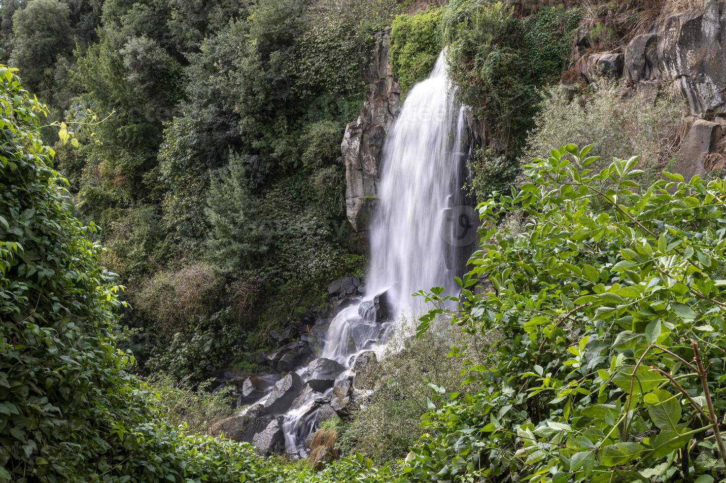 la cascada nepi rodeada de vegetación foto