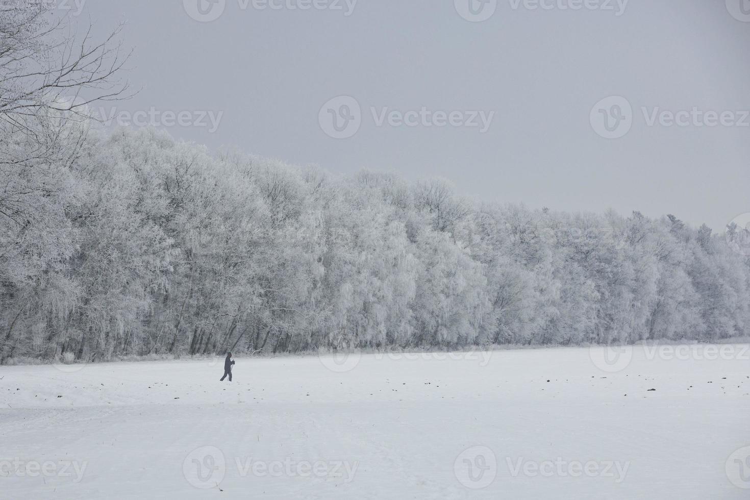 paisaje de invierno con nieve y niebla foto