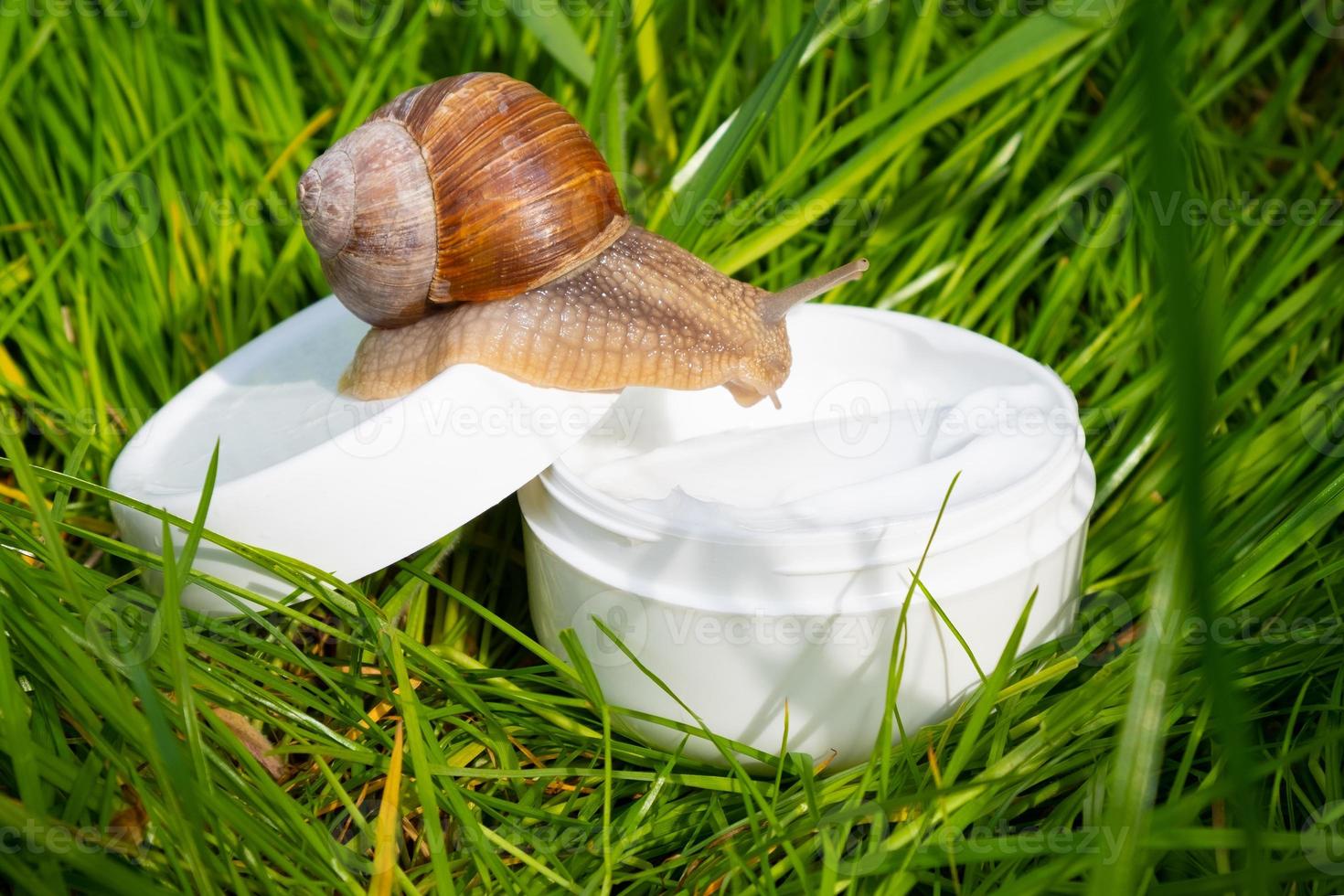 Crema blanca con mucina de caracol sobre la hierba verde en el jardín, cuidado de la piel hermosa foto