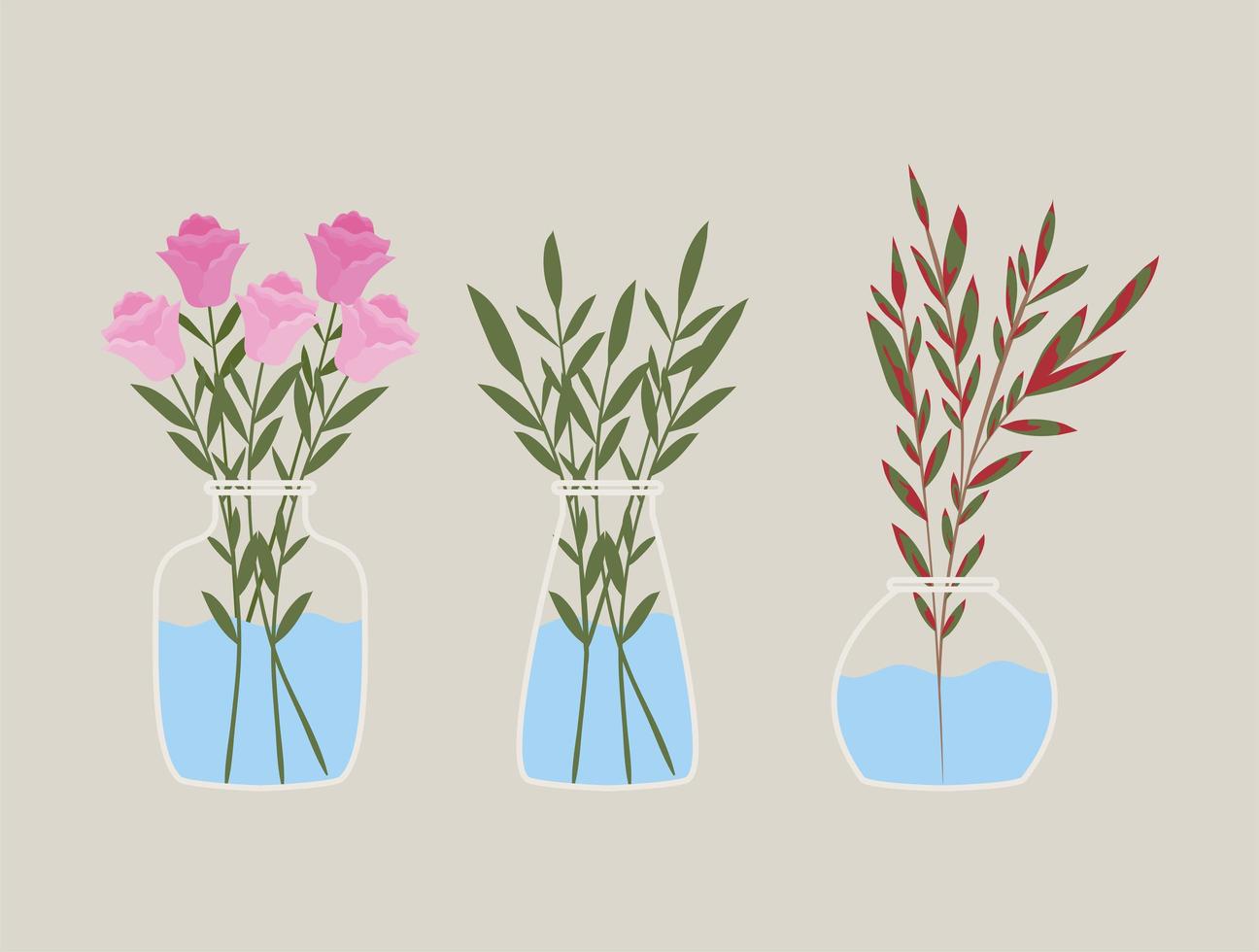 set of three plants inside a pots vector