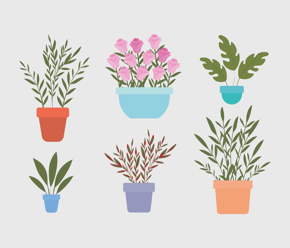 set of plants inside a pots vector