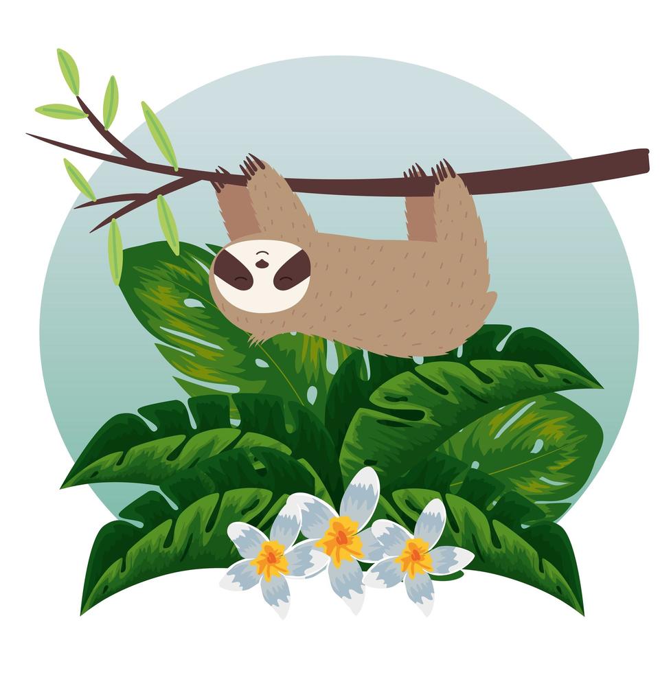 sloth hanging in tree branch with flowers and leafs vector illustration design